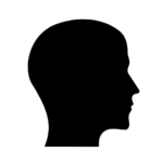 Male Hair Loss