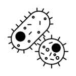 Dental Infection