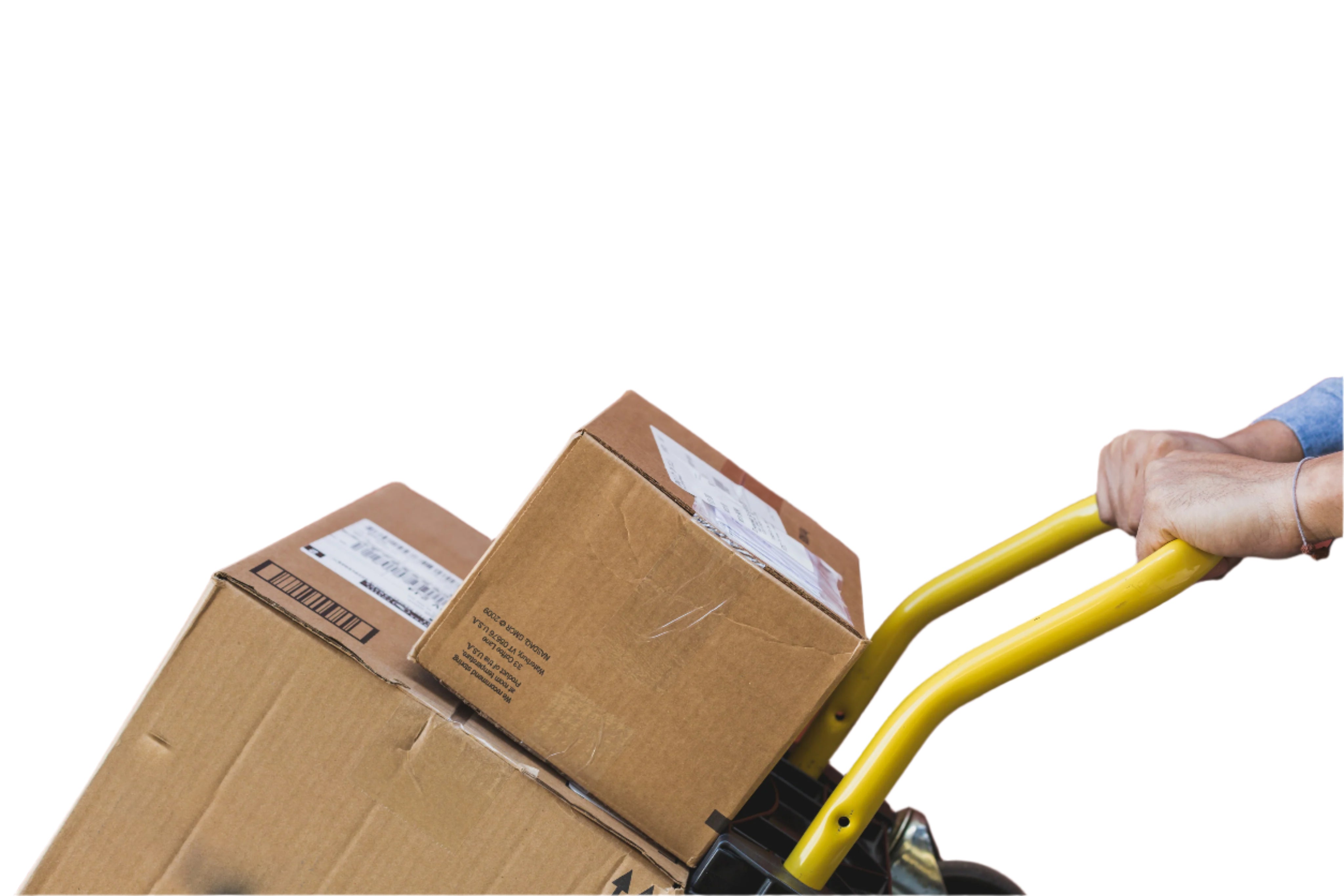 Orders dispatched within 24 hours (Monday to Friday)